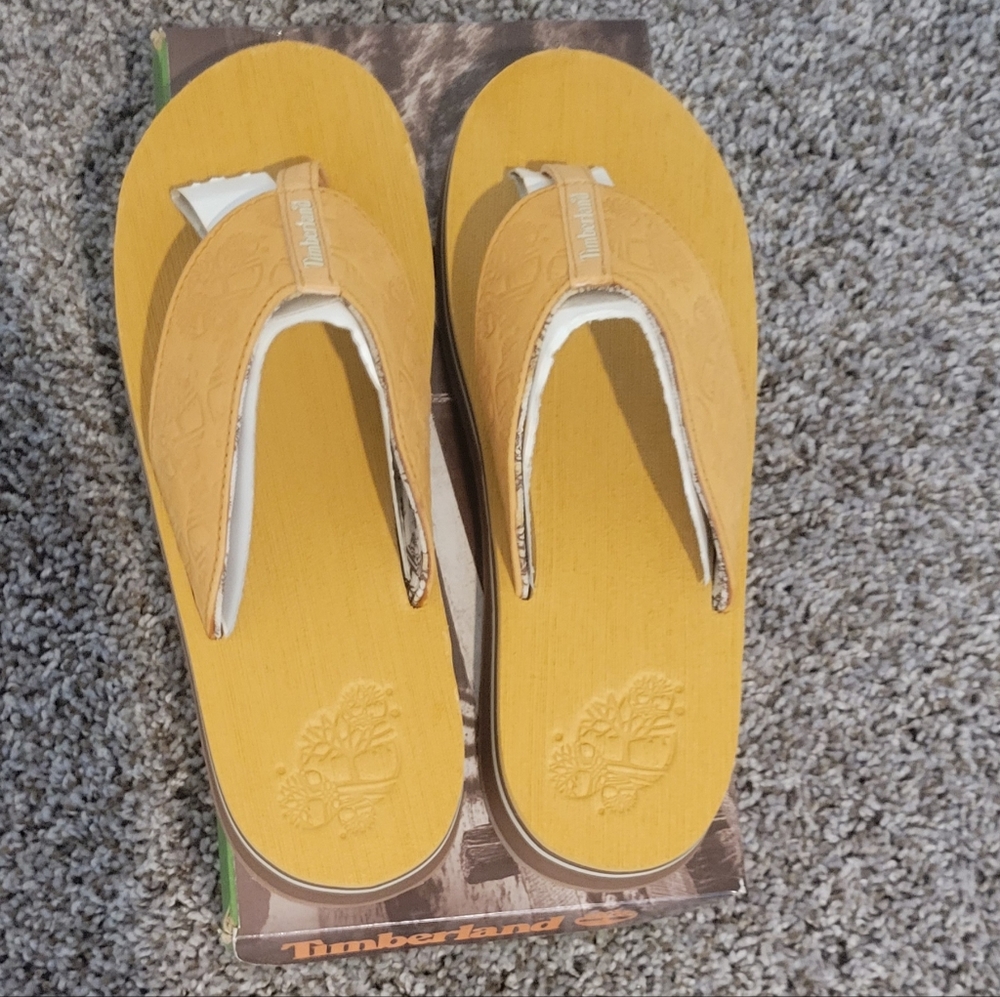 Men's Timberland Flip Flops